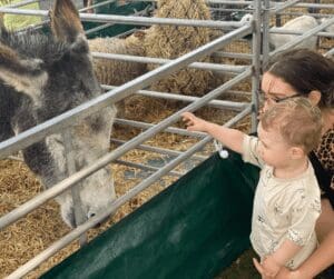 Mini Farm Petting Zoo at Patrington Haven Leisure Park