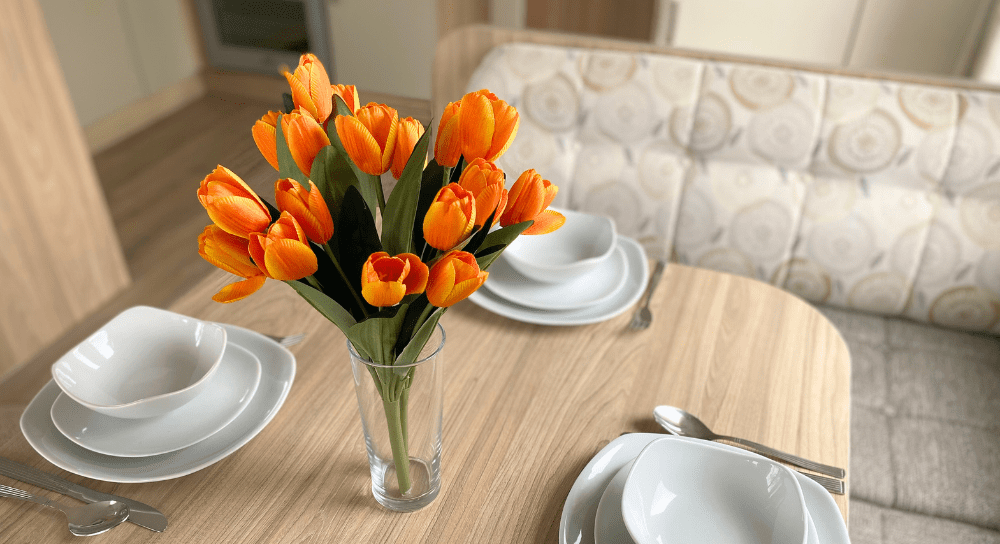 Willerby Rio Premier