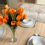 Willerby Rio Premier