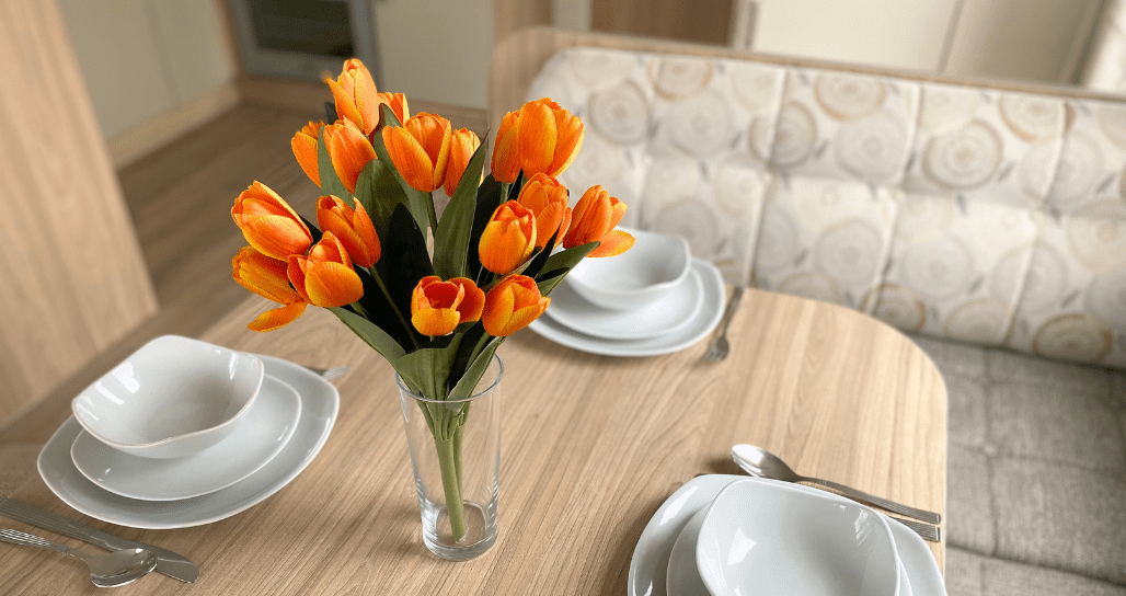 Willerby Rio Premier