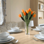 Willerby Rio Premier