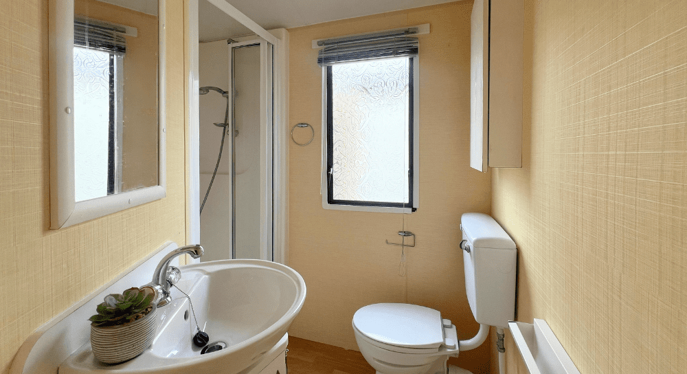 Willerby Herald Gold 431