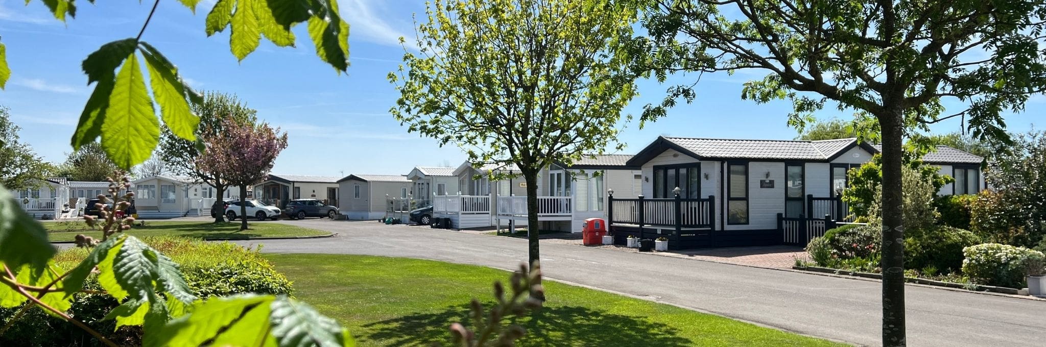 static caravans surrounded by nature in the sun